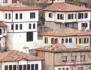 Town of unique house diversifies alternatives