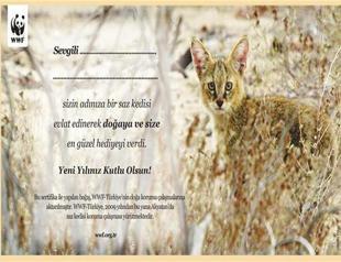 Saving the planet with a gift for reasonable prices