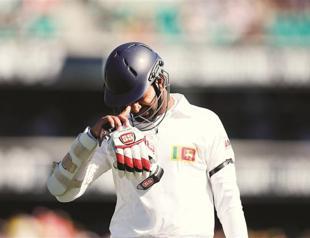 Tamils call Australia to boycott cricket match against Sri Lanka