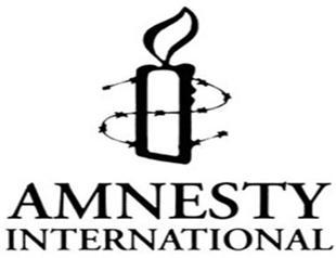Amnesty International calls on Turkey for cooperation on Paris attack investigation