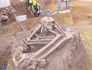 Venezuelans pledge full loyalty to Chavez