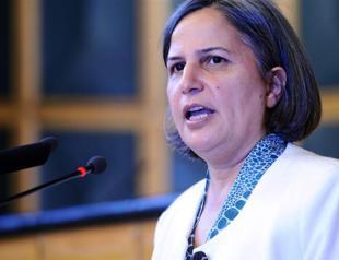 Turkish government responsible for Paris killings, BDP head says