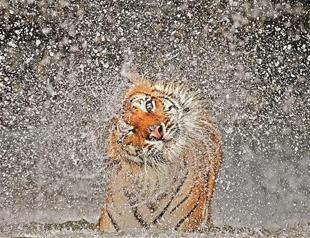 2012 photo contest winners announced