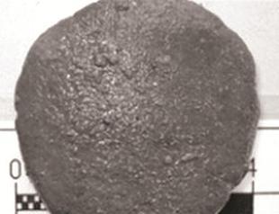 Ancient medicines analyzed