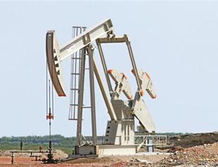 Turkmen state ready for sell off but wants control of fuel