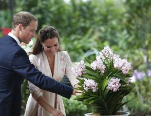 Prince William and Kates baby due in July: palace