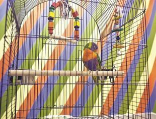 Artist examines himself as subject in his solo exhibition