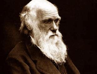 Turkeys science state council halts publication of evolution books