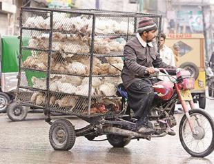 IMF urges Pakistan to cut down budget gap