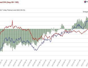 Irrational exuberance a la Turca