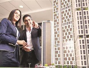 Cost of ‘Wolves’ hunts down construction firm