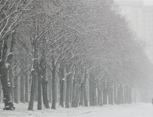 Cannibalism mystery as Russians found in wilderness