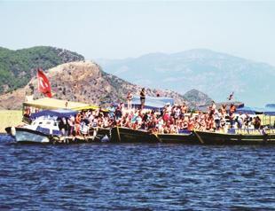 Foundation aims to protect turtles in Dalyan with a petition campaign