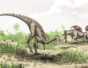 The earliest known dinosaur discovered