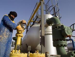 5 foreigners still missing as Algeria gas plant restarts