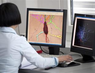 Graphene, Human Brain Project get 2-bln-euro funds