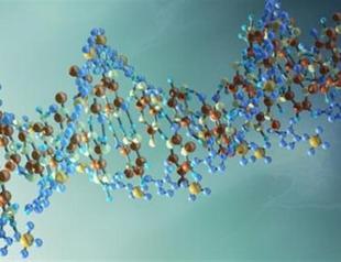 DNA compositions to be stored for health
