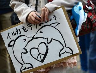 Anti-whalers claim early victory against Japanese fleet