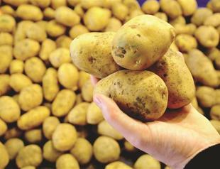 Turkish firm agrees with Idaho state