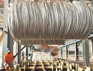 Chinese trade surplus up, inflation eases in new year