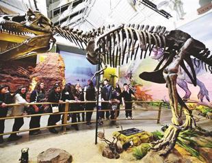 Jurassic Land comes to Istanbul