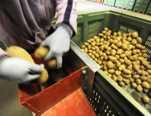 US state, Turkish company battle over Idaho trademark