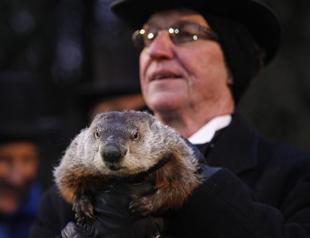 Weather-predicting groundhog sees early spring