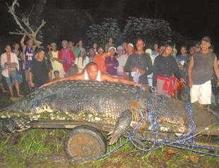 Largest crocodile in captivity dies at age 50