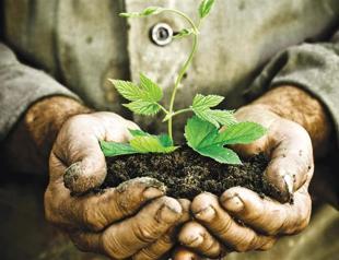 Turkish agency steps up to green Africa