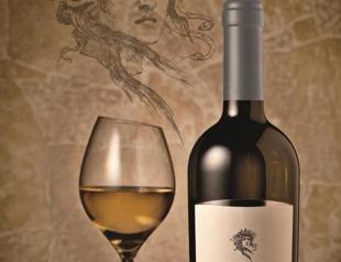 A special wine tasting for visually impaired people