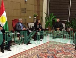 Road map for peace to be released at Nevruz: Report