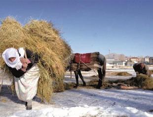 ‘Housework barrier to female workforce