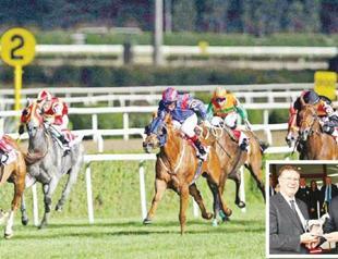 Australian minister suggests Turks train horses in pools, on walking machines