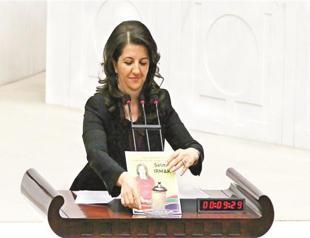 BDP says Paris killings will not derail process