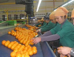 Turkish jobless rate remains unchanged at 9.1 pct