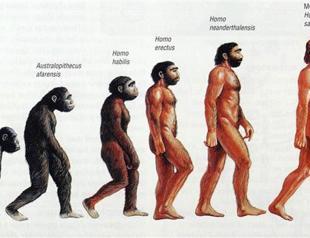 Turkish state science council denies ‘evolution censor’