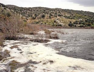 Aegean lake Bafa faces ecological catastrophe due to industrial waste