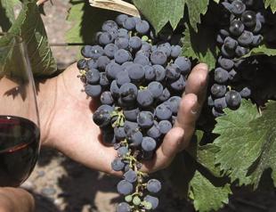 World wine production runs low
