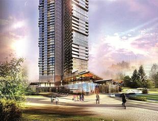 Contractors want local ‘green’ license