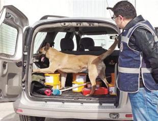 Turkey main staging point for illicit goods: Europol report