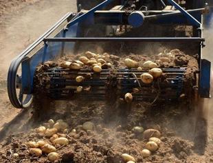 US state moves to trademark Idaho after Turkish firm fails to register name