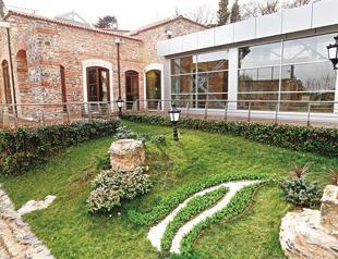 Everything about tulips in a museum