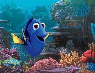Finding Nemo sequel set for November 2015