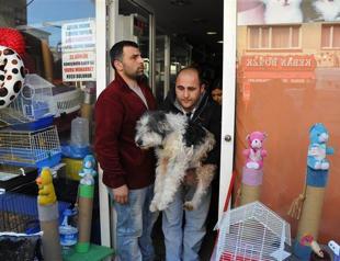 Ban on sales of pets in Istanbul pet shops