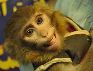 US unsure of Iran’s space claims