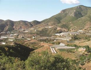 Deforested lands’ owners are worried