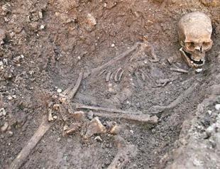 Forensic scientists dig up the royal dirt