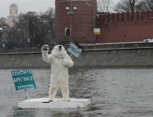 Polar bear floats past Kremlin in Greenpeace protest