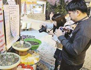 Saffron flower finds home in Safranbolu
