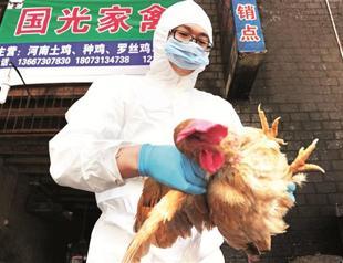 Chinas bird flu outbreak no cause for panic: WHO